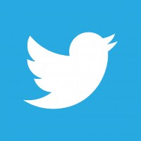 How to add a Twitter Follow Button